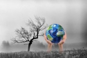C&aacute;c dự b&aacute;o về kh&iacute; hậu cần bao gồm c&aacute;c t&aacute;c động của CO2 l&ecirc;n sự sống