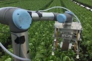 Thiết kế robot h&aacute;i rau x&agrave; l&aacute;ch Mỹ