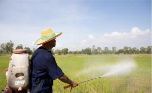 Thiết bị sản xuất th&agrave;nh phần ph&acirc;n b&oacute;n quan trọng từ kh&ocirc;ng kh&iacute;