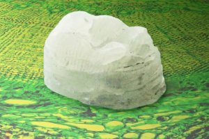 Chế tạo th&agrave;nh c&ocirc;ng vật chất si&ecirc;u bền c&oacute; nguồn gốc tế b&agrave;o thực vật