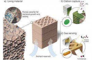 Gốm &ldquo;sống&rdquo; sử dụng vi khuẩn để cảm biến kh&iacute; v&agrave; thu giữ carbon