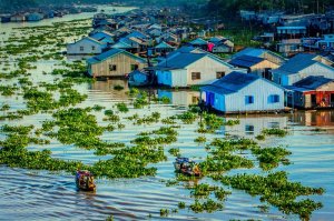 NướcGPT: Giải m&atilde; x&acirc;m nhập mặn ở đồng bằng s&ocirc;ng Cửu Long