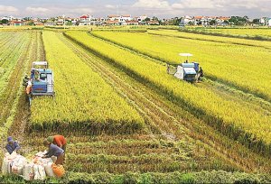 Bộ trưởng Đỗ Đức Duy: X&acirc;y dựng kịch bản đảm bảo tăng trưởng, phấn đấu XK đạt 70 tỷ USD