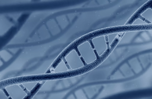 C&ocirc;ng cụ gi&uacute;p tổng hợp gene tức th&igrave;
