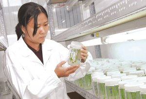 Tăng quyền sở hữu tr&iacute; tuệ cho doanh nghiệp v&agrave; nh&agrave; nghi&ecirc;n cứu để th&uacute;c đẩy đổi mới s&aacute;ng tạo