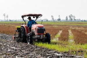 Điều g&igrave; gi&uacute;p giảm ph&aacute;t thải kh&iacute; nh&agrave; k&iacute;nh trong sản xuất l&uacute;a gạo?