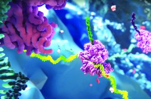 Ph&ecirc; duyệt c&ocirc;ng nghệ điều chỉnh biểu hiện gene sau 20 năm chờ đợi