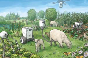 Hai th&aacute;i cực của tương lai khi sử dụng robot n&ocirc;ng trại