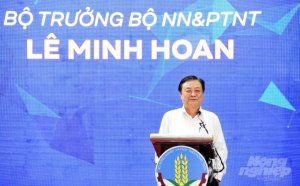 Bộ trưởng L&ecirc; Minh Hoan: Thị trường quyết định sự sống c&ograve;n qu&aacute; tr&igrave;nh sản xuất lưu th&ocirc;ng h&agrave;ng h&oacute;a