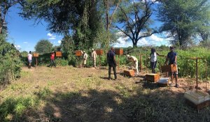 FAO v&agrave; SEED khởi động Chương tr&igrave;nh tăng tốc khởi nghiệp trong lĩnh vực n&ocirc;ng nghiệp