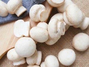 Chất thải gốc nấm c&oacute; thể l&agrave; nguồn bổ sung thức ăn l&agrave;nh mạnh, rẻ tiền cho g&agrave;