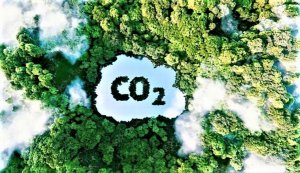 Nhiều cơ hội đầu tư cho doanh nghiệp trong thị trường carbon