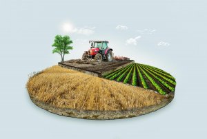 Bảo vệ hệ sinh th&aacute;i đất: C&oacute; cứu v&atilde;n được n&ocirc;ng nghiệp?