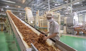 Ng&agrave;nh c&ocirc;ng nghiệp thuốc l&aacute; VN: Lợi bất cập hại