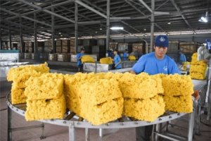 10 th&aacute;ng xuất khẩu cao su gần 1,3 tỷ USD