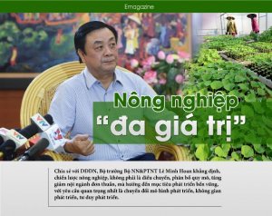 N&ocirc;ng nghiệp &ldquo;đa gi&aacute; trị&rdquo;