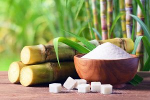 Giải tr&igrave;nh tự bộ gene c&acirc;y m&iacute;a