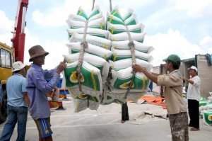 Gi&aacute; l&uacute;a gạo thế giới sẽ c&ograve;n tiếp tục biến động mạnh