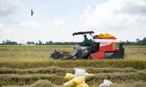 Hợp t&aacute;c x&atilde; &ldquo;kh&ocirc;ng đồng&rdquo; ở Vĩnh B&igrave;nh 