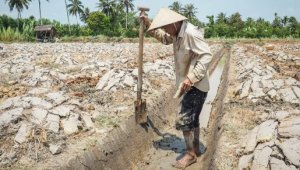 Hạn h&aacute;n ở Việt Nam: Đ&acirc;u chỉ mỗi chuyện thiếu nước, hụt mưa?