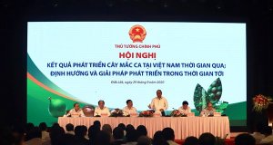 Hội nghị Kết quả 05 năm ph&aacute;t triển c&acirc;y Mắc ca tại Việt Nam trong giai đoạn 2016-2020 v&agrave; định hướng thời gian tới