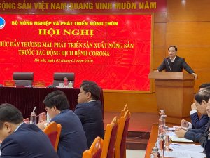 Th&uacute;c đẩy thương mại, ph&aacute;t triển sản xuất n&ocirc;ng sản trước t&aacute;c động của dịch vi&ecirc;m phổi do vi &ndash; r&uacute;t corona