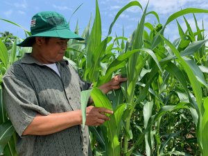 Th&uacute;c đẩy tiềm năng ph&acirc;n b&oacute;n hữu cơ