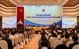 Kết quả ấn tượng sau 5 năm t&aacute;i cơ cấu n&ocirc;ng nghiệp