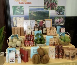 N&ocirc;ng nghiệp cần chuyển nhanh tư duy sản xuất sang tư duy kinh tế