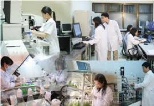 Sửa quy định thu h&uacute;t, trọng dụng nh&agrave; khoa học xuất sắc
