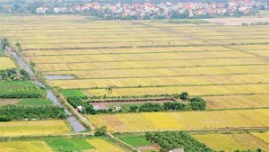 L&agrave;m g&igrave; để đẩy mạnh t&iacute;ch tụ, tập trung đất đai?