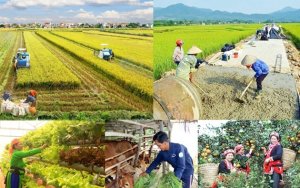 Th&aacute;o gỡ kh&oacute; khăn, th&uacute;c đẩy triển khai thực hiện 3 chương tr&igrave;nh mục ti&ecirc;u quốc gia