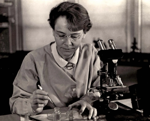 Barbara McClintock: Kh&aacute;m ph&aacute; một số gene nhảy