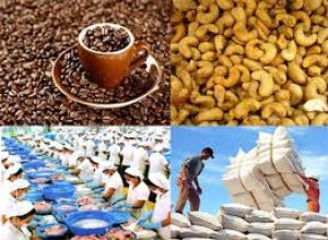 Thị trường n&ocirc;ng nghiệp tuần thứ 45 năm 2016