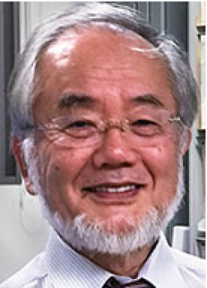 Giải thưởng Nobel 2016 về y khoa hoặc sinh lý học