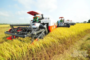 S&aacute;ng kiến quốc tế hỗ trợ n&ocirc;ng d&acirc;n ĐBSCL th&iacute;ch ứng với biến đổi kh&iacute; hậu 