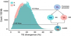 C&aacute;c nh&agrave; nghi&ecirc;n cứu giải m&atilde; sự mất gen tr&ecirc;n bộ genome của c&acirc;y k&ecirc;