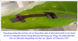 Miếng d&aacute;n cảm biến cho c&acirc;y trồng c&oacute; thể ph&aacute;t hiện t&iacute;n hiệu căng thẳng theo thời gian thực