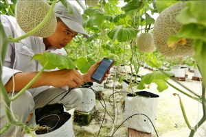 Hiệu quả từ ứng dụng chuyển đổi số trong n&ocirc;ng nghiệp