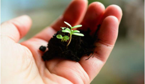 Thay đổi c&aacute;ch hiểu về đất