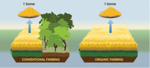 Thực phẩm hữu cơ l&agrave;m cho kh&iacute; hậu trở n&ecirc;n tệ hơn?