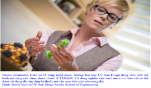 Virus thực vật c&oacute; thể được sử dụng để ph&ograve;ng tr&aacute;nh s&acirc;u bệnh v&agrave; giữ cho c&acirc;y khỏe mạnh