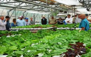 C&aacute;c chiến lược cải thiện hiệu quả sử dụng nước trong điều kiện kh&iacute; hậu b&aacute;n kh&ocirc; hạn