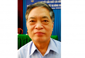 Một số ý kiến về tái cơ cấu ngành lúa gạo đồng bằng sông Cửu Long để phát triển bền vững