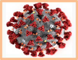 T&igrave;m hiểu về virus corona mới