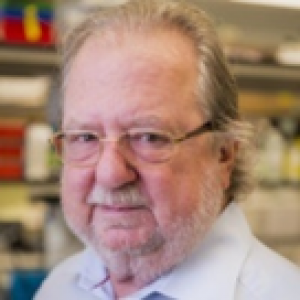 Giải Nobel 2018 Về Y Khoa & Sinh L&yacute; Học Liệu Ph&aacute;p Miễn Dịch Bệnh Ung Thư