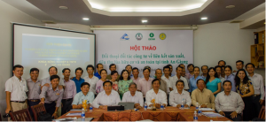 Hội thảo đối t&aacute;c c&ocirc;ng tư về li&ecirc;n kết sản xuất, ti&ecirc;u thụ l&uacute;a, t&ocirc;m an to&agrave;n v&agrave; hữu cơ ở ĐBSCL