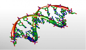 Dự đo&aacute;n sự tiến h&oacute;a của c&aacute;c đột biến nhờ c&aacute;c đ&aacute;m rối DNA