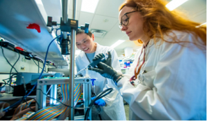 Enzyme nấm được ph&aacute;t triển với vi lưu c&oacute; thể l&agrave; c&ocirc;ng cụ hữu cơ mới trong cuộc chiến chống lại c&aacute;c đối tượng g&acirc;y hại m&ugrave;a m&agrave;ng