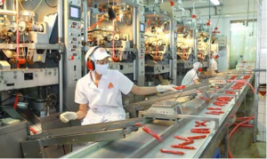 Nông nghiệp công nghệ cao - chìa khóa cho tái cơ cấu 